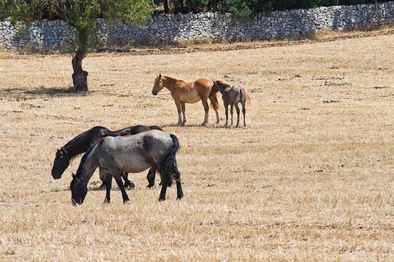 מוטולה Boara Resort מראה חיצוני תמונה